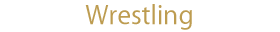 Wrestling - 12,000